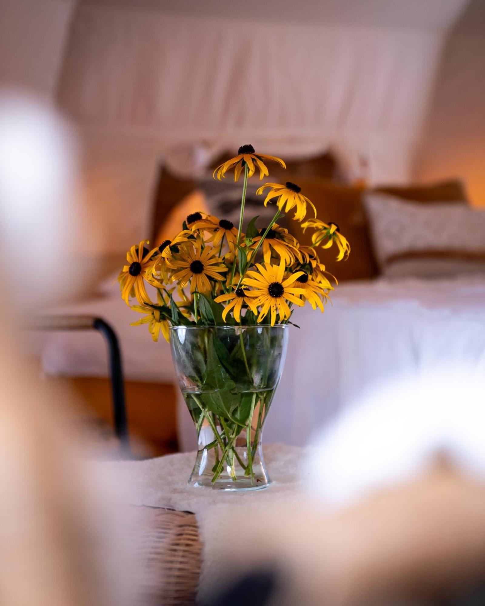 Glamping Gozdna Jasa Hotel Bovec Bagian luar foto