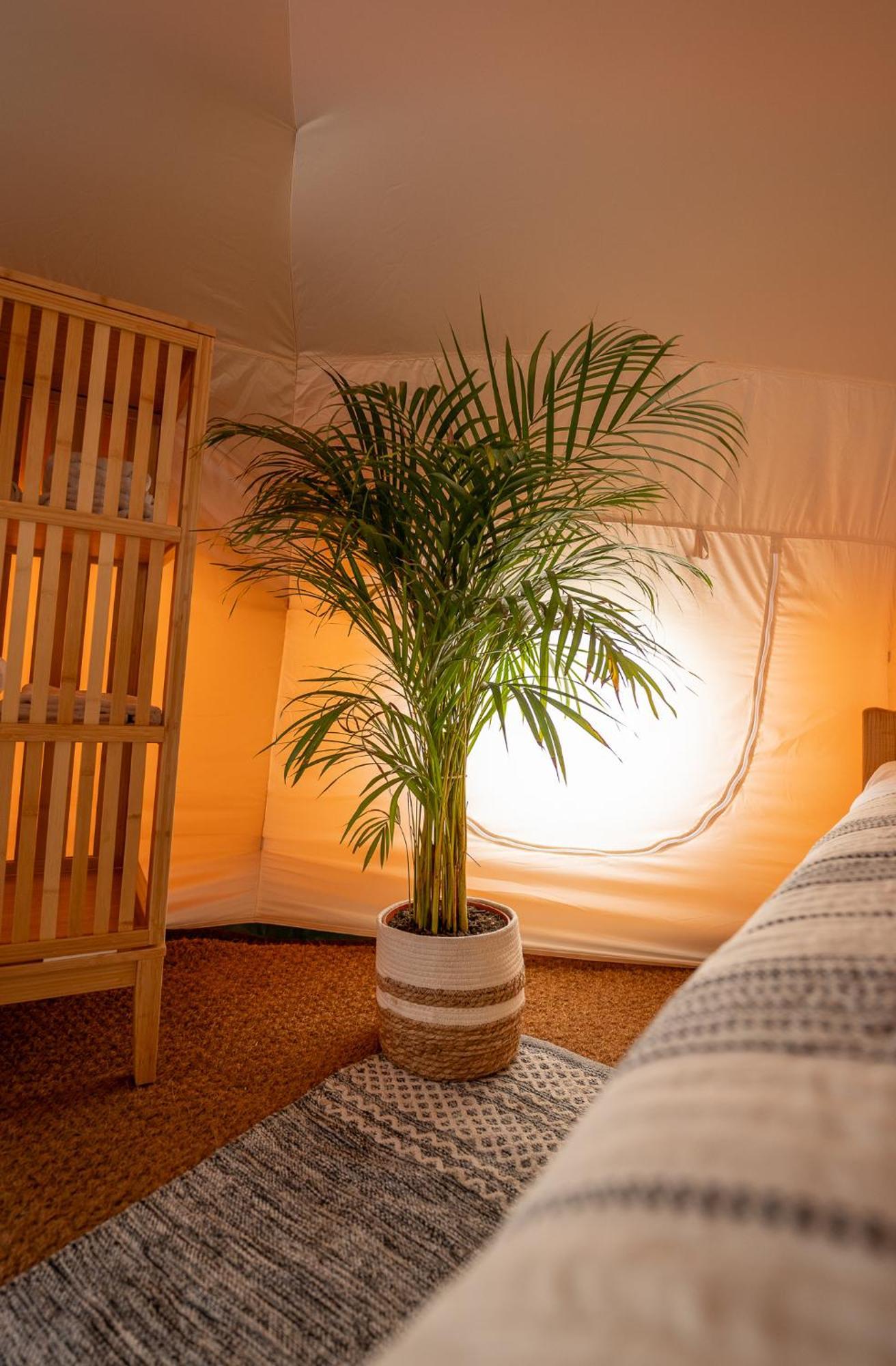 Glamping Gozdna Jasa Hotel Bovec Bagian luar foto
