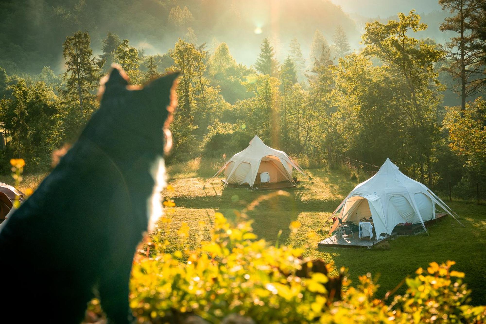Glamping Gozdna Jasa Hotel Bovec Bagian luar foto